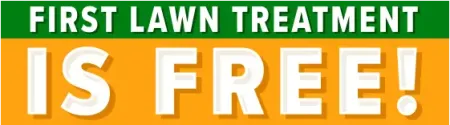 first-lawn-treatment-free