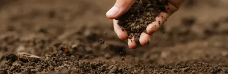 soil testing