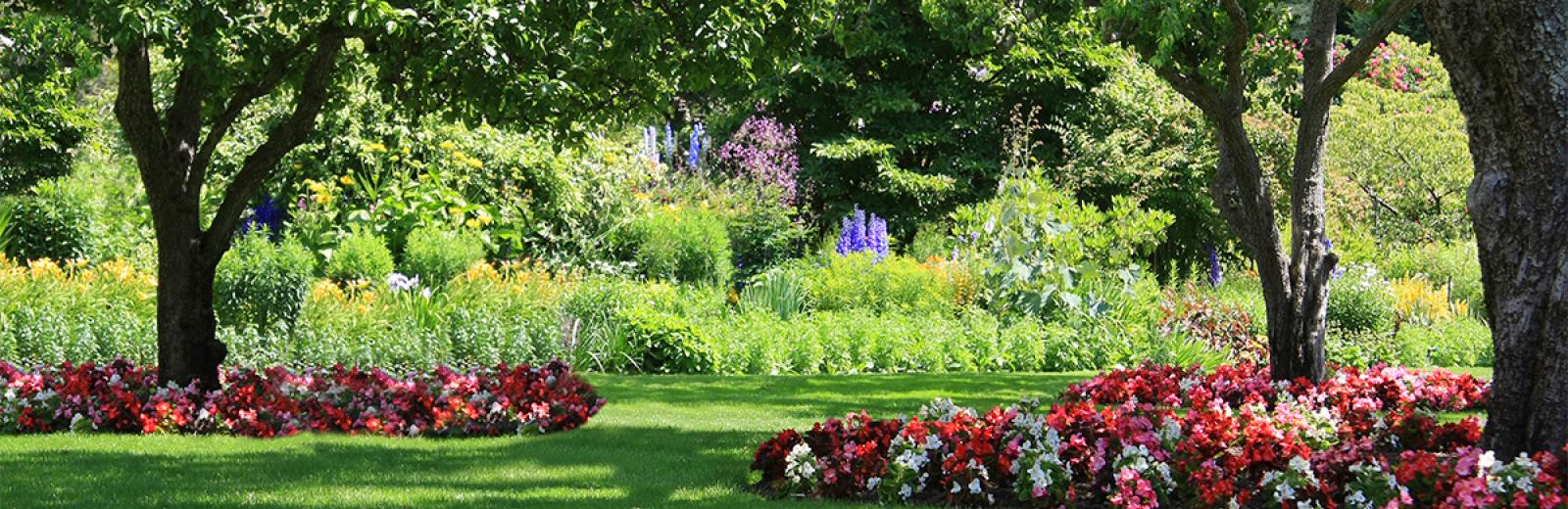 two trees surrounded with flower beds