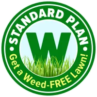 Standard Plan Badge Icon