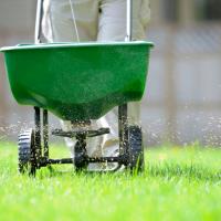 lawn technician applying fertilizer using a fertilizer spreader