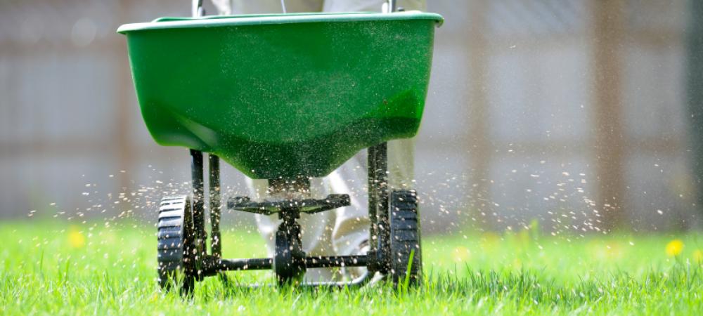 lawn technician applying fertilizer using a fertilizer spreader