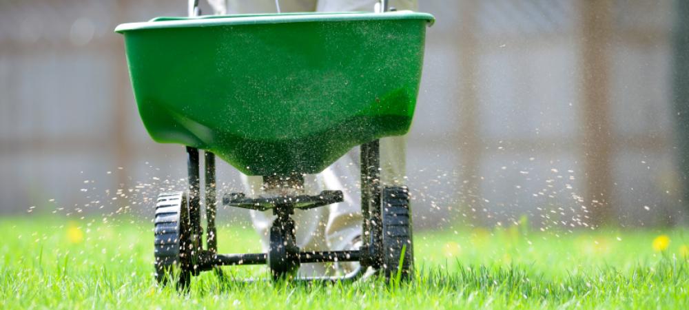 lawn technician applying fertilizer using a fertilizer spreader