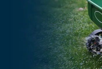 Spreading lawn seed