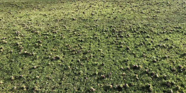 aeration-holes