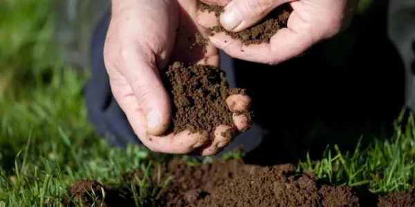 hands-feeling-new-soil