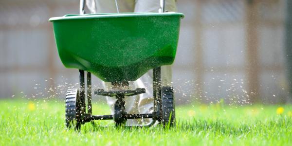lawn technician applying fertilizer using a fertilizer spreader
