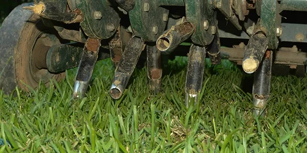 core aeration by winlawn in Georgia